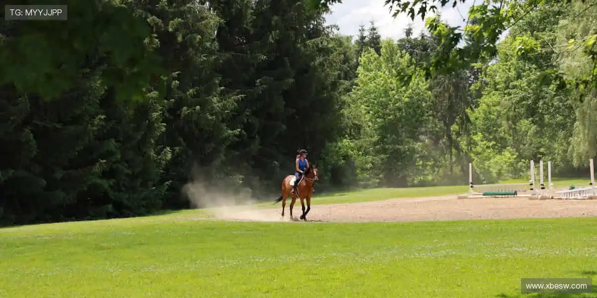 📱实时直播，比分秒报！💻随时随地，不错过每一个燃爆瞬间！